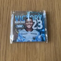 Item thumbnail for item 4806fb35-0635-4468-a062-7701f3f56fe4