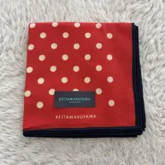 Item thumbnail for item 2604fa6d-a71e-438d-b1a0-a079f3a38278