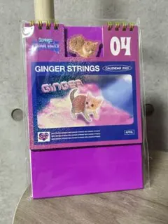 2026年最新】strings_gingerの人気アイテム - メルカリ