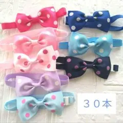 Item thumbnail for item e7d9b7a7-0fef-4603-abc2-8b041cfdd9eb