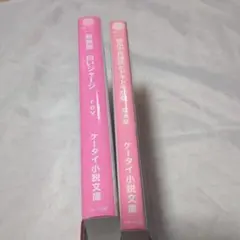 携帯小説(ピンクレーベル)　2冊セット