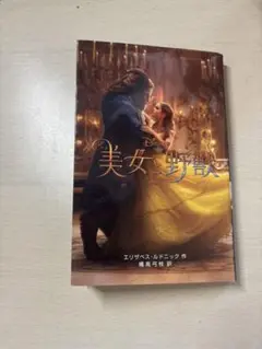 美女と野獣　小説