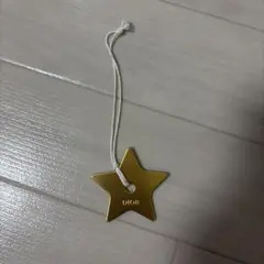 DIOR スターチャーム ゴールド