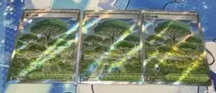ポケモンカード　活力の森 SR 3枚セット