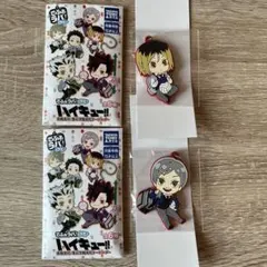 ハイキュー‼︎ 孤爪研磨 灰羽リエーフ でふぉラバ！プラス ラバスト