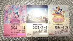 ✨ディズニーリゾートライン フリー切符3枚セット