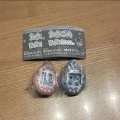 たまごっちシャカシャカチャームコレクション てんしっち 2個セット