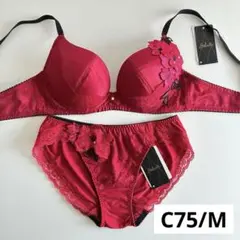 新品☆ワコール☆サルート☆75G・キューティーハニー☆RE