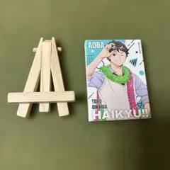 ハイキュー!! ドン・キホーテ ミニキャンバスボードコレクション 及川徹
