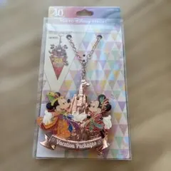 ディズニーリゾート 40周年記念ミッキー・ミニー バッグチャーム（非売品）