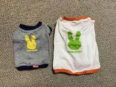 ウサギ お洋服 2点セット うさぎ用品
