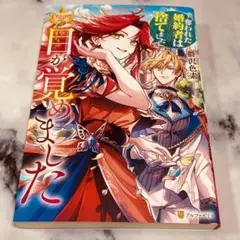 バハムートラグーン カーナ騎士団 小説（文庫本） - メルカリ