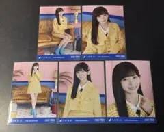 乃木坂46 池田瑛紗 14th Anniversary 生写真 5種コンプ - メルカリ
