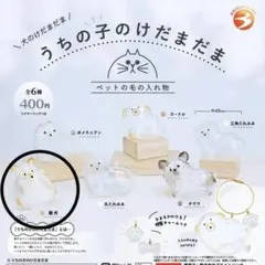 うちの子のけだまだま 柴犬