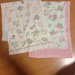 Item thumbnail for item efa09692-4f15-466b-9381-a1873b82ff68