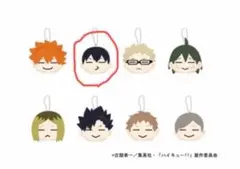 ぷよたまシリーズハイキュー!!影山飛雄　新品未開封