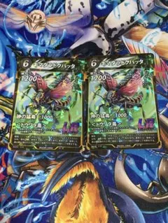 メルルーサ様 リクエスト 10点 まとめ商品