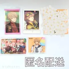 【バラ売り可】エリオス　ウィル　ぱしゃこれ　まねきねこ　オーロラカード