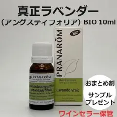 nattsu様 リクエスト 2点 まとめ商品