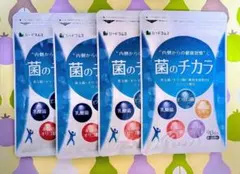 シードコムス 菌のチカラ（約12ヶ月分）