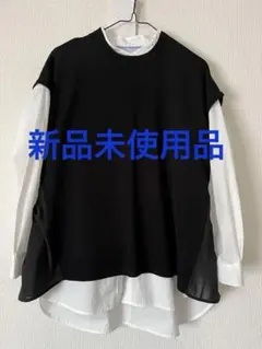 ベスト（新品未使用品）Lサイズ