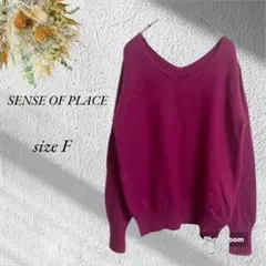 美品SENSE OF PLACE Vネック長袖ニット フリー アンゴラNo223