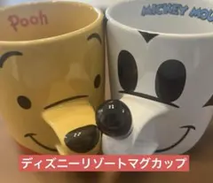 ディズニーリゾートマグカップミッキーアンドプーさん