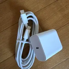 USB-C充電器とLightningケーブルセット