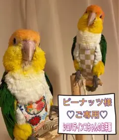 Item thumbnail for item c2de45cd-81e3-439d-a0cb-befbc8b4709c