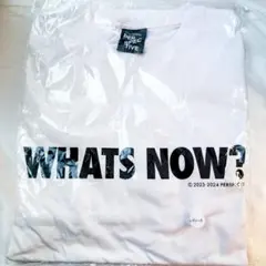 Item thumbnail for item 15979d67-001c-480e-a07c-809a6651ac31