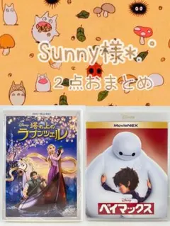 Sunny様 リクエスト 2点 まとめ商品