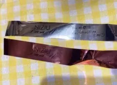 銀テープ2種② 武道館2日目2025 ホルツ NiziUのサムネイル