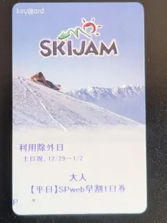 SKIJAM スキージャム勝山 大人1日リフト券　(平日）500円返金されます
