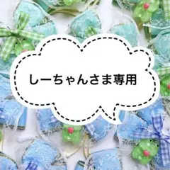 しーちゃんさま専用