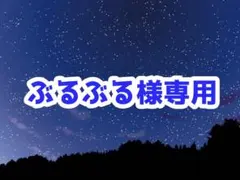 ぶるぶる様専用