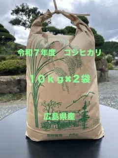 期間限定です♪♪ 令和7年度 山口県産コシヒカリ 玄米10㎏✖️2袋