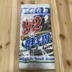 Item thumbnail for item af818205-36b9-4cde-852f-64203a95aa6d