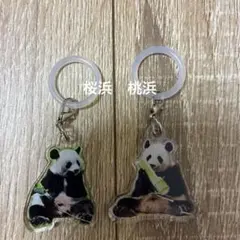 アドベンチャーワールド パンダファミリーのマルチチャーム 楓浜 めじ