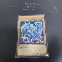 最安値！ 青眼の白龍 シークレット