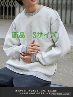 アウトリンキング配色クルーネックモールニット　モノマート　新品　Sサイズ