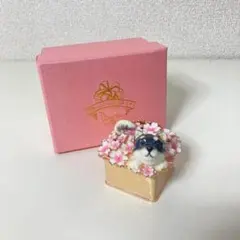 Piearthジュエリーケース　まとめ 楽天市場】【正規品】 プレゼントボックス クリスタルジュエリー