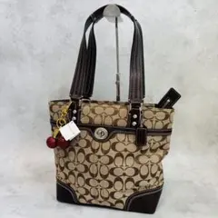 COACH コーチ ハンプトンズ ジップサッチェル F13977 y2k - メルカリ