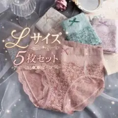 ショーツ 5枚組レディース 深め まとめ売り 温活 通気性◎ L