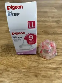 Item thumbnail for item 910b79e6-4b5f-422f-b869-752c51573ae6