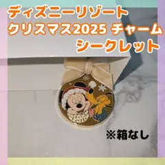 ディズニーリゾート　クリスマス2025 　ランダムチャーム【シークレット】
