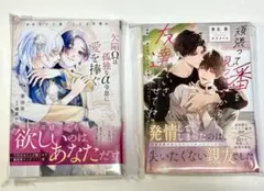 欠陥Ωは孤独なα令息に愛を捧ぐ　　頑張って番を見つけるから友達でいさせてね