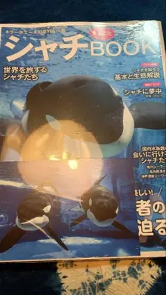 Item thumbnail for item d8cf716f-06f4-4607-8e9e-653f1ace4aac