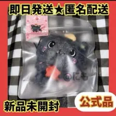 NCT WISH WISH DOLL steady MD ぬいぐるみ リク クリ