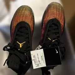 Item thumbnail for item 7b77d608-6576-4b0e-8e47-05608bd48443