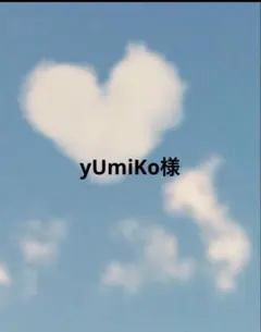 yUmiKo様 リクエスト 3点 まとめ商品